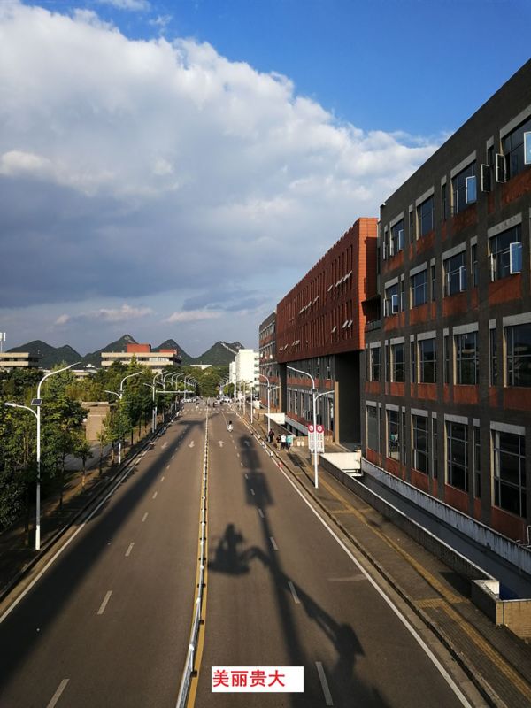 贵州某高校为本校区内600多盏路灯更换LED灯头及加装太阳能LORA调光控制?？?，达到了节能和智能控制的目的。